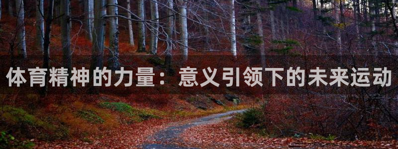 MK体育官网下载平台假的吗是真的吗:体育精神的力量:意义引领