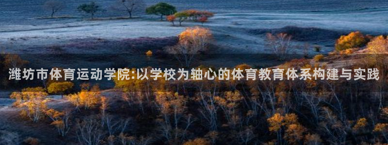 MK体育官网下载平台是正规平台吗安全吗:潍坊市体育运动学院: