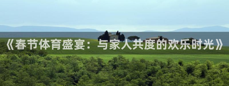 MK体育官方正版app集团E.ON:《春节体育盛宴:与家人共