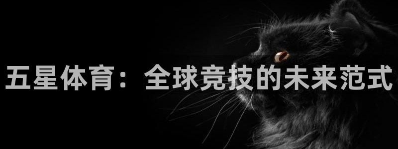 MK体育官网下载平台注册流程视频:五星体育:全球竞技的未来范